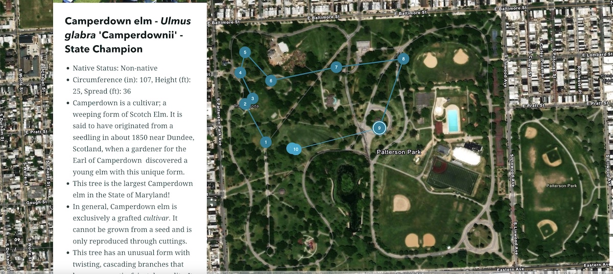 Screenshot of Baltimore Tree Trust's story map.